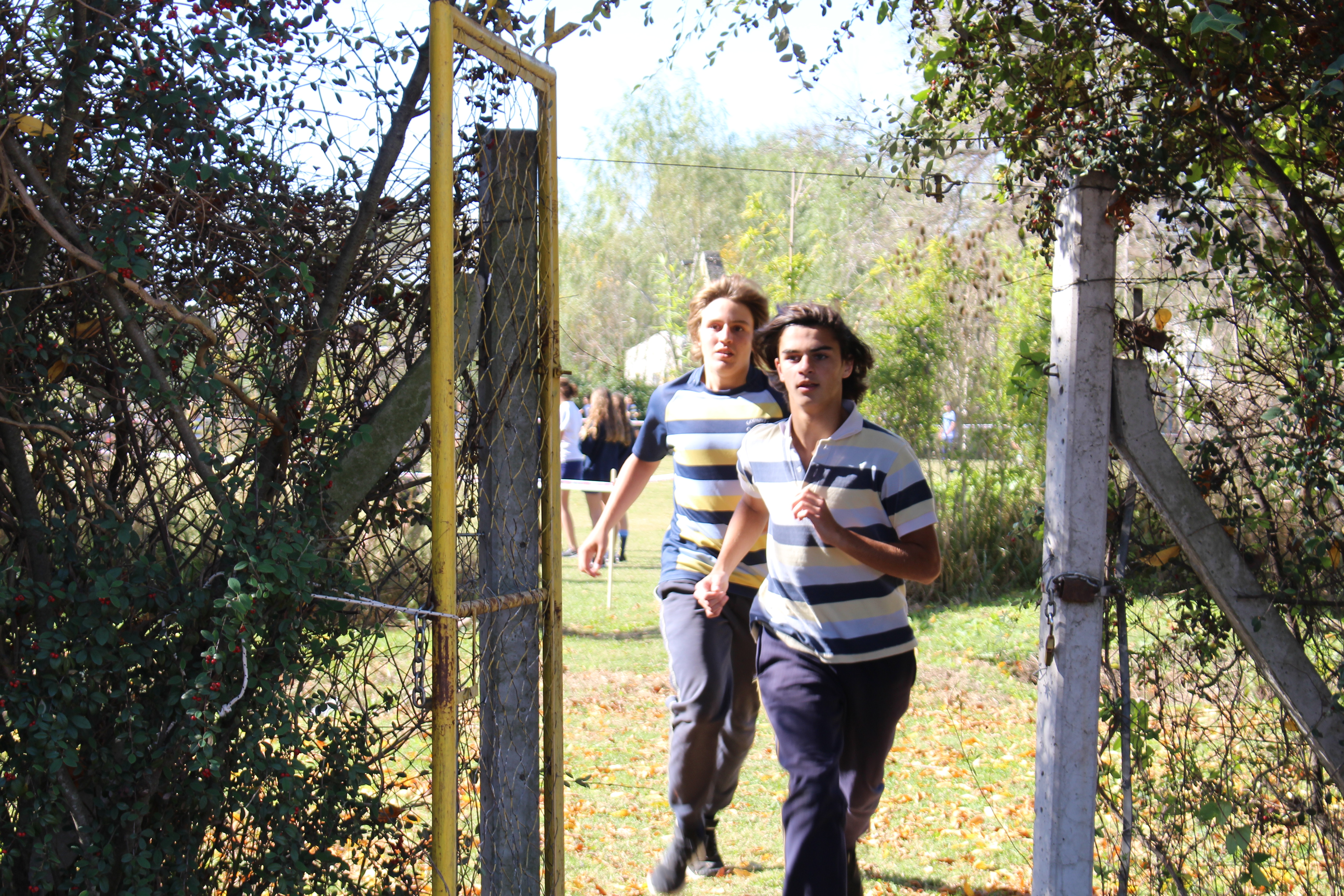 Cross Country con obstáculos