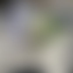 Casamento Leandra & Mahaseias