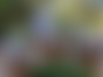 Casamento Vitória & Cláudio