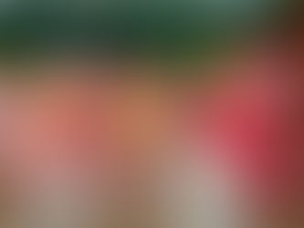 Aniversário - 1 ano Ayla