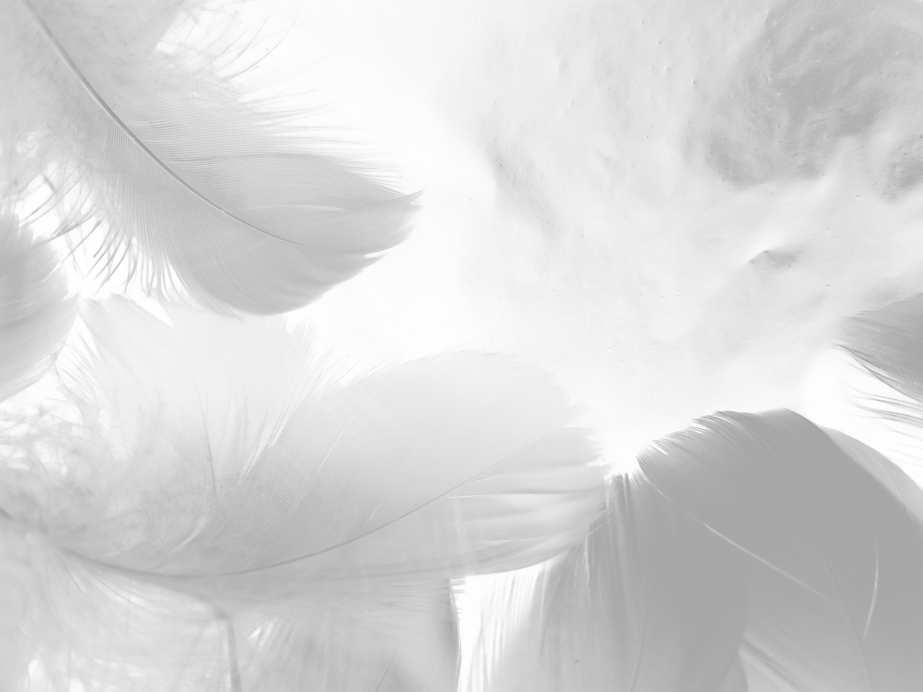 shutterstock_1782803525.png