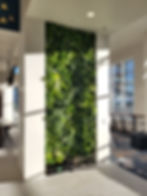 Living wall at apartment complex