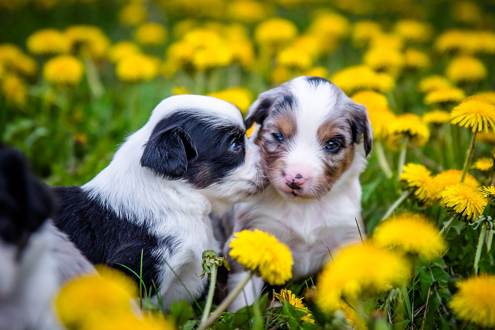 470803360_611641964866556_8134404825699672723_n