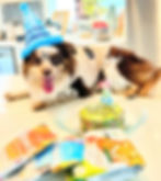 515505334_693929743699474_468726304334467805_n (1)