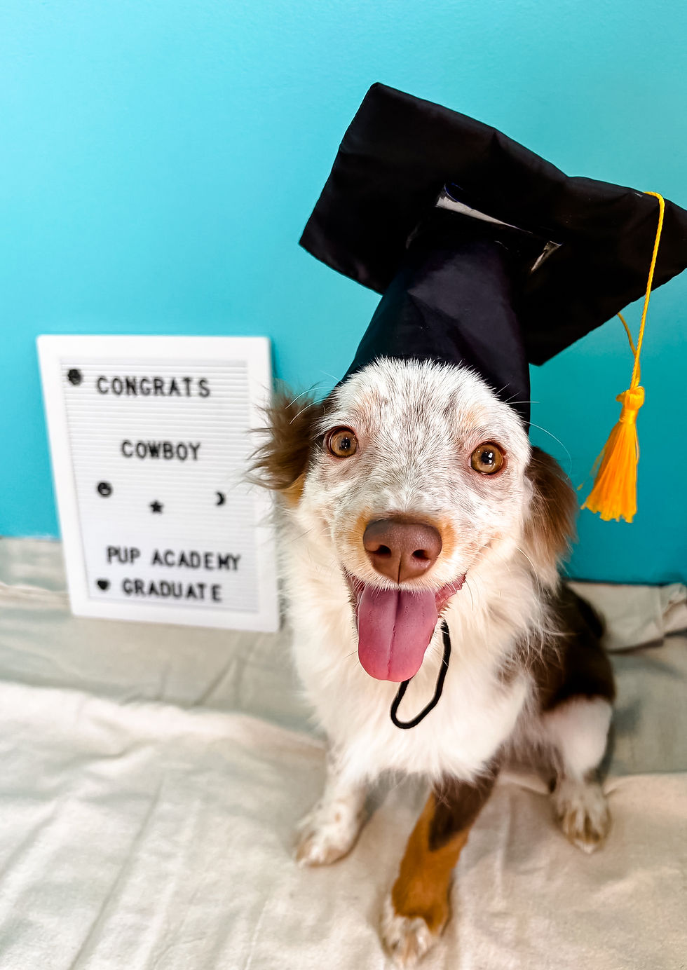 524893798_687473621011753_5658836275834825574_n-Edit (1)