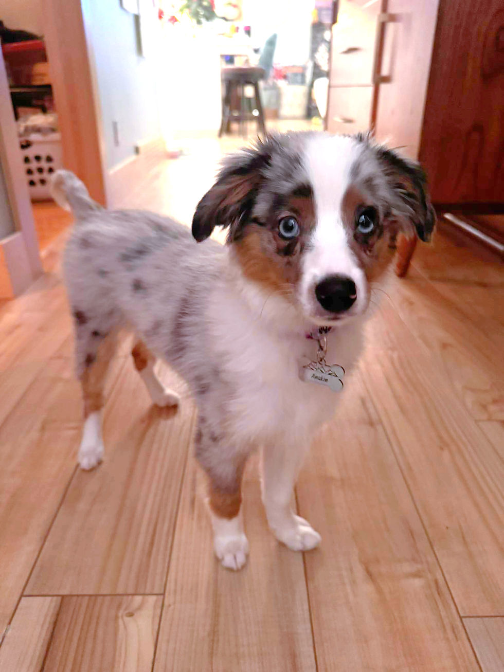 595778832_802865852805862_1276288198461657892_n_edited_edited