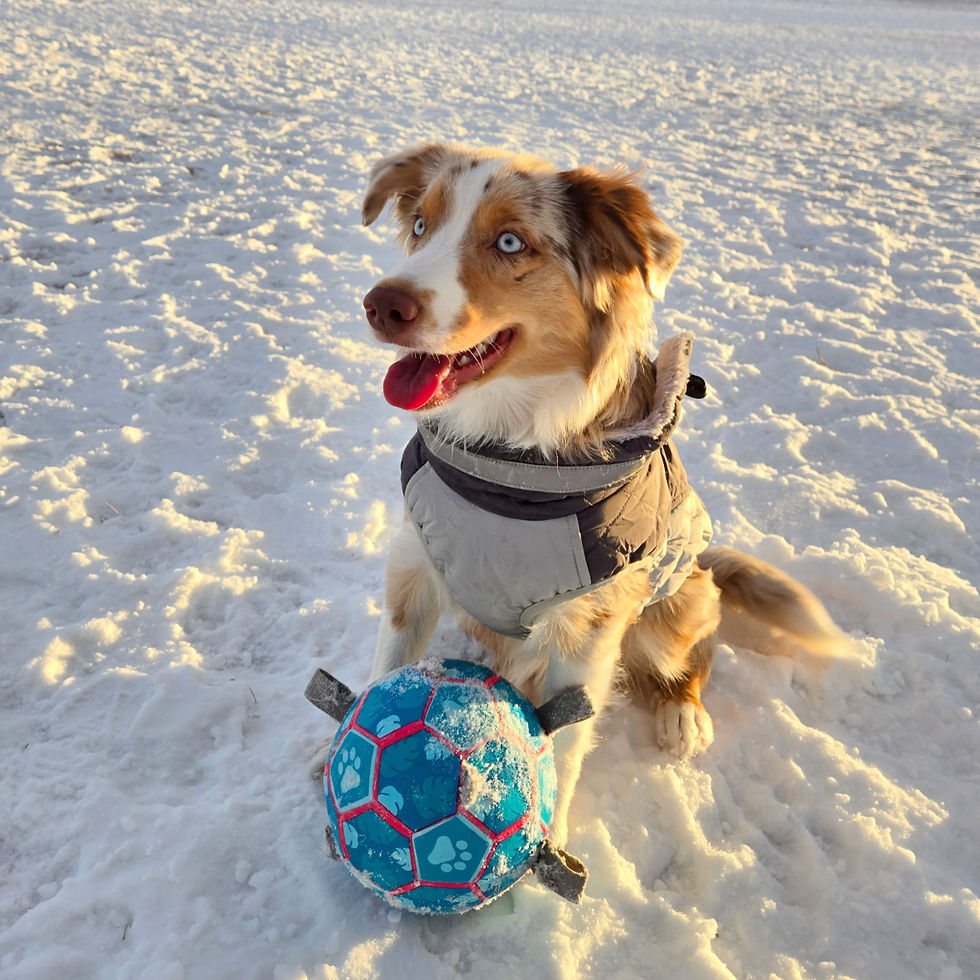 161988110044734912_edited