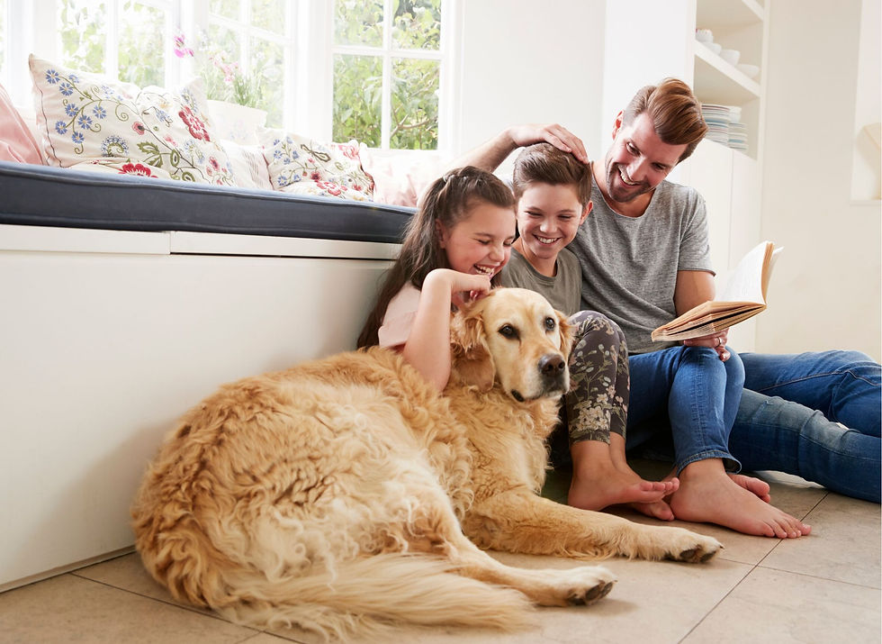 UK homeowner comparing cheap home insurance quotes online