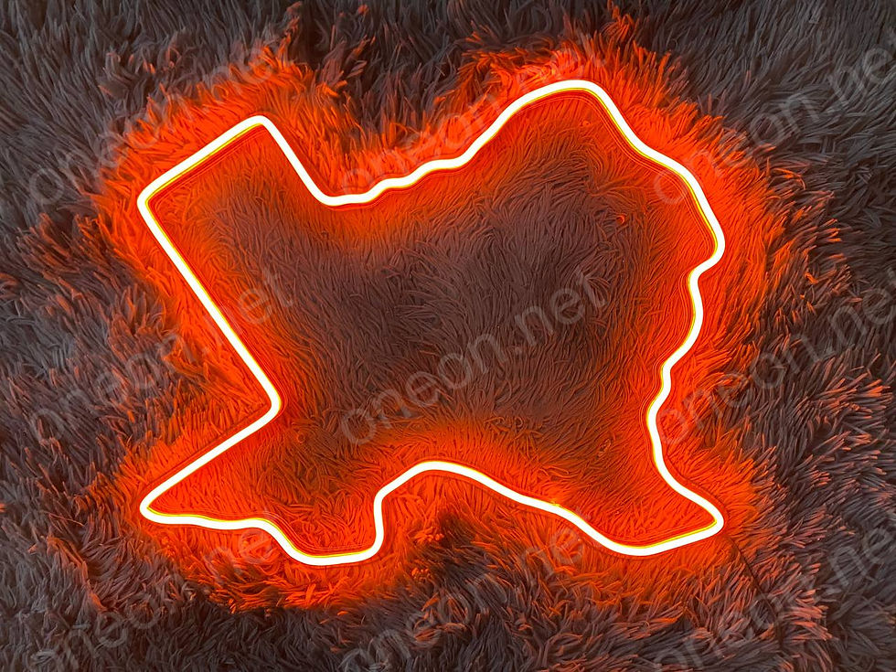 섬네일: Texas State Map | LED Neon Sign