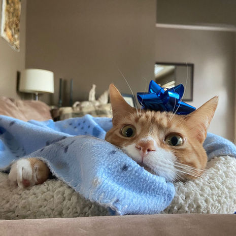 Remy