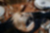 Hintergrundbild Anfrage Hochzeitsreportage
