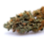 takoma-wellness-center-dc-weed-review-durban-skunk-by-alt-sol-bud-1