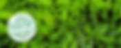 District Cure Dispensary | Toker's Guide