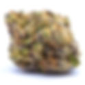 Apple Tartz - The Gift Givers