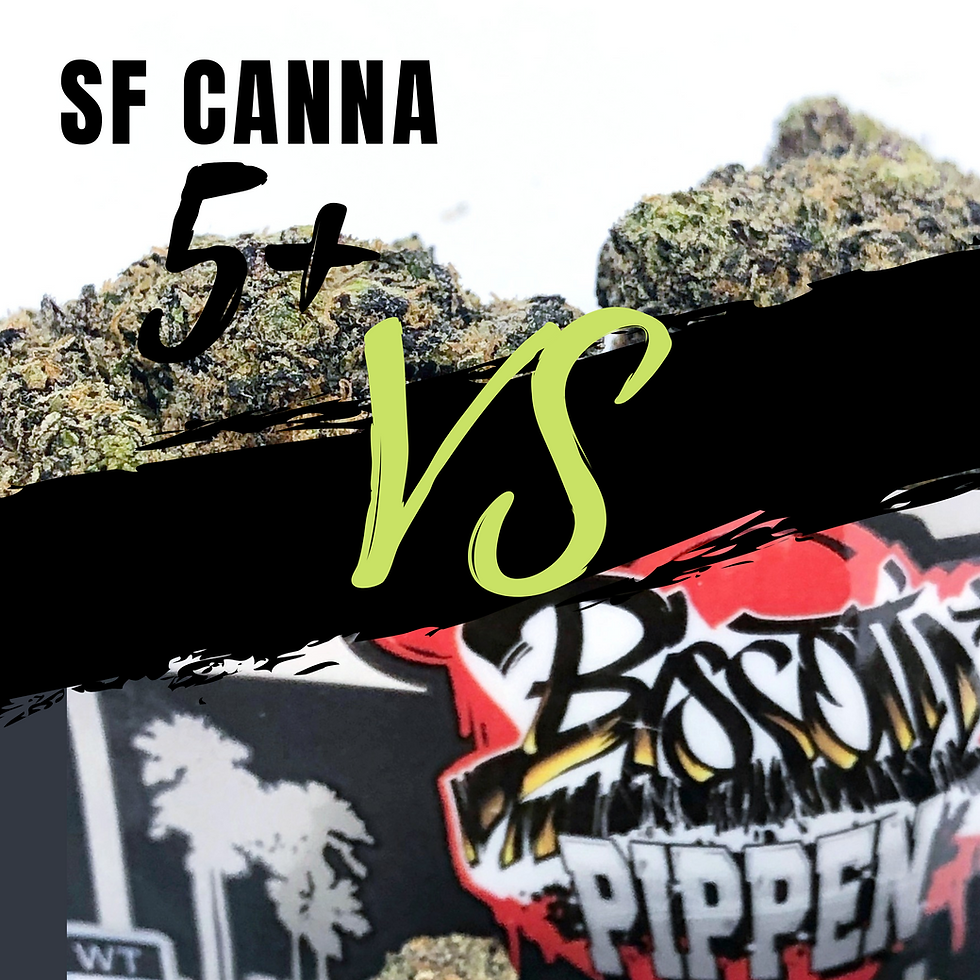 sf-canna-5-plus-vs-biscotti-pippen-dc-weed-review-promoco-dc