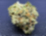 Magic Johnson - gLeaf (Beyond / Hello, Sterling, VA)