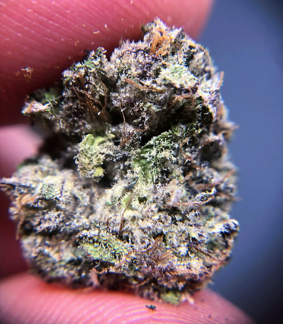 district-firehouse-dc-weed-review-pb-souffle-macro-1