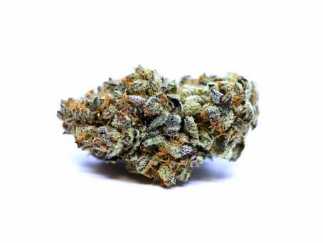 Zack's Cake Gen 3 by Alt Sol - Takoma Wellness Center (DC Medical)
