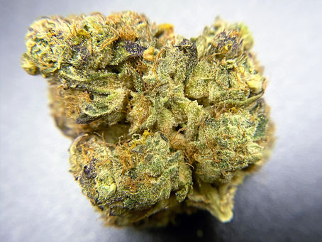 OG Lime Killer, Curio Wellness - HerbaFi Silver Spring, MD
