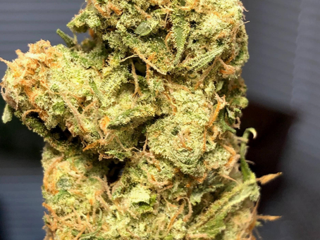 Tangie Wreck - Top Secret DC