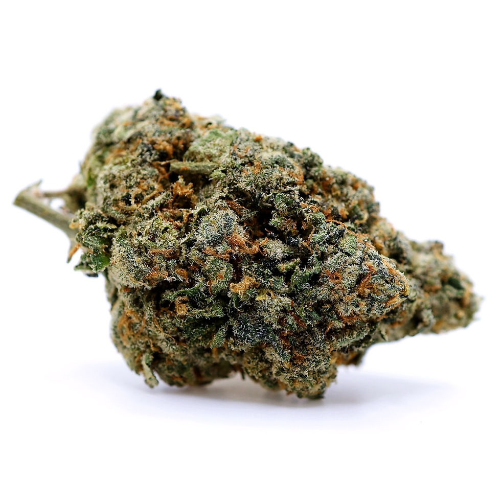 mr-nice-guys-dc-weed-review-scotty-2-hotty-strain-bud-1