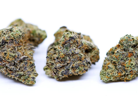 Berry Blue - Buddha Buddy DC