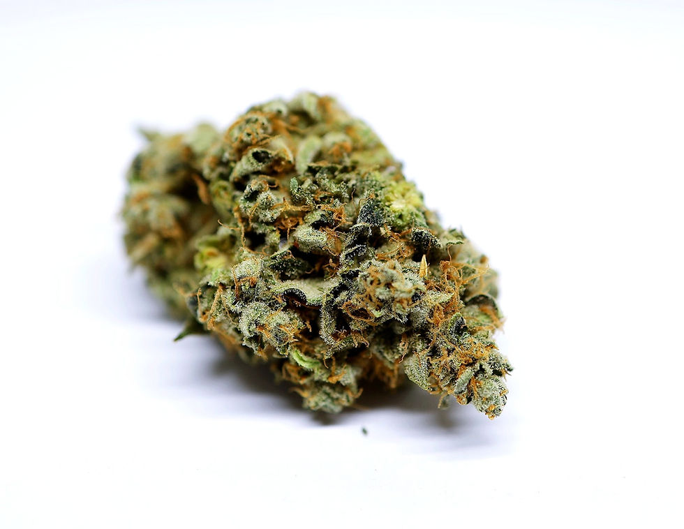 takoma-wellness-dc-weed-review-alt-sol-petro-chem-1