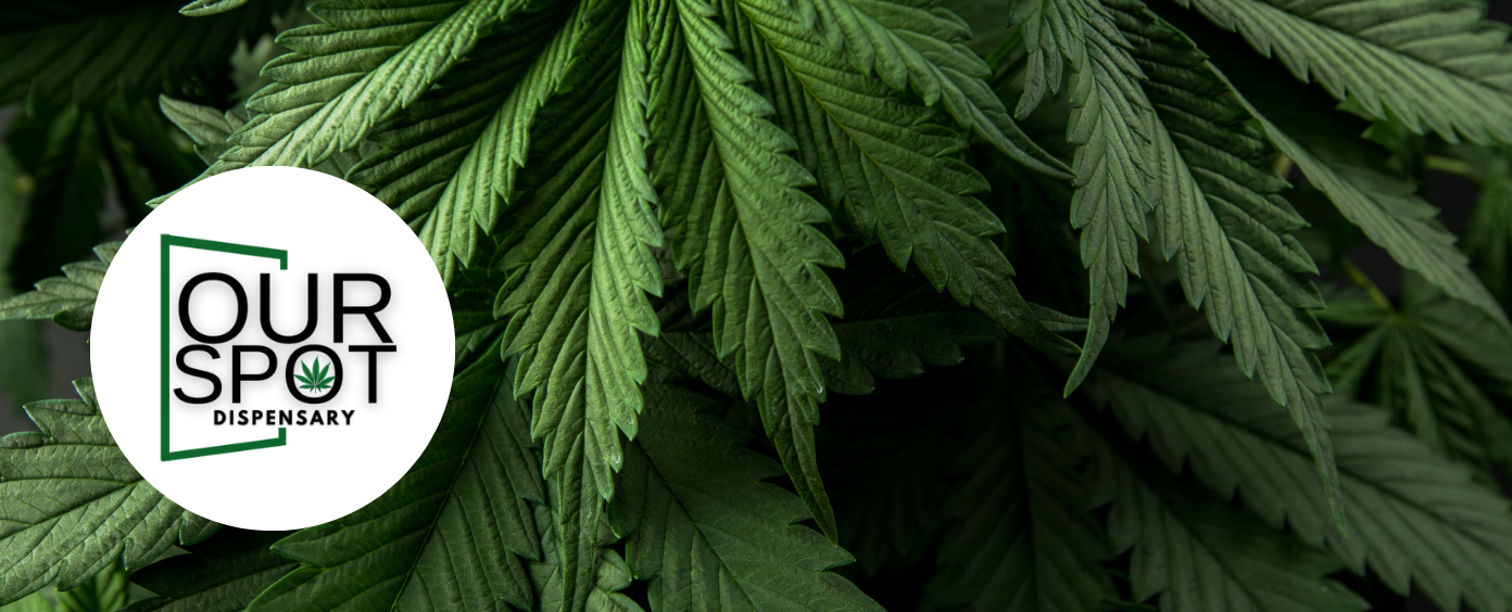 Petworth dispensary with a cozy, community-oriented atmosphere.