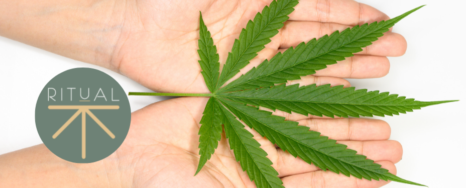 Ritual in Glen Burnie offers a ceremonial cannabis experience with unique, craft strains.