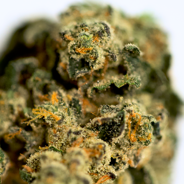 When I encounter space-themed cannabis strains my expectations naturally ascend skyward. However, it's all too often that these high aspi...