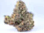 cannabear-dc-weed-review-blueberry-biscotti-front-view-1