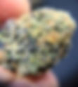 Romulan - House of Herbs