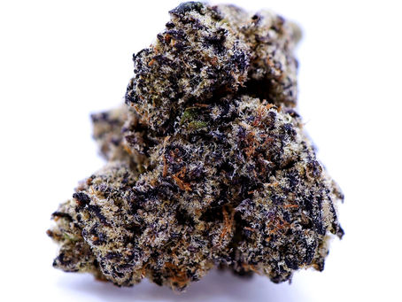 Poseidon OG - The Gift Givers