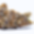 chocolate-city-wellness-dc-weed-review-spritzer-strain-bud-1