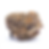 hyfe-dc-weed-review-snow-g-strain-bud-3