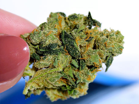 Rocket Fuel - Culta (Maryland Medical)