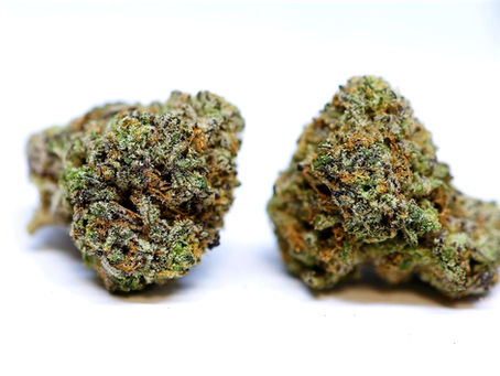 Vampire Killer - Top Level DC