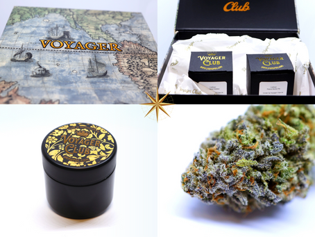 Rainbow Pebblez - Voyager Club