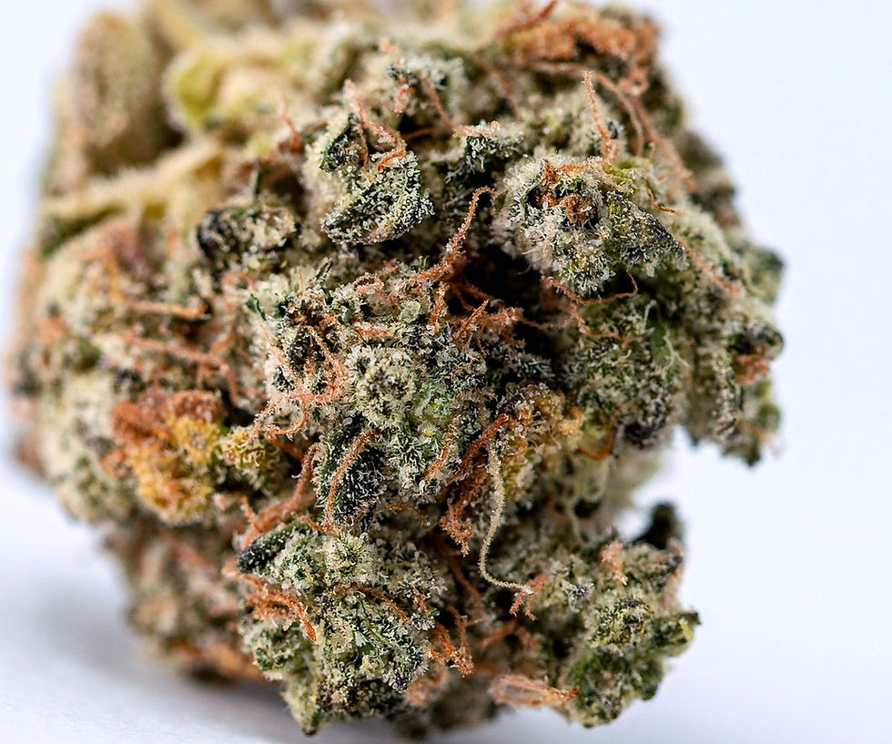 elevated-lounge-dc-weed-review-khalifa-kush-front-view-close-up