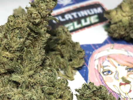 Platinum Glue - Puff Puff DC