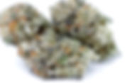 Kobe OG - Joint Delivery