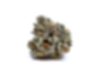 mother-blossom-dc-weed-review-sparkly-biscuit-bud-2