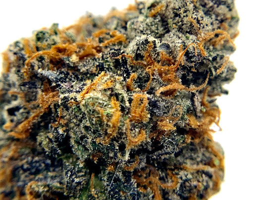 gushers-strain-review-top-secret-dc-weed-delivery-close-up