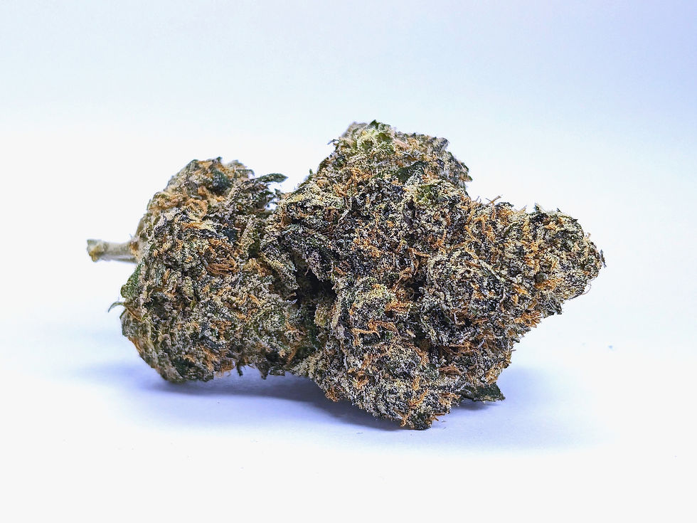 monko-dc-weed-review-cassius-clay-3