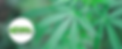 Potomac Holistics | Toker's Guide