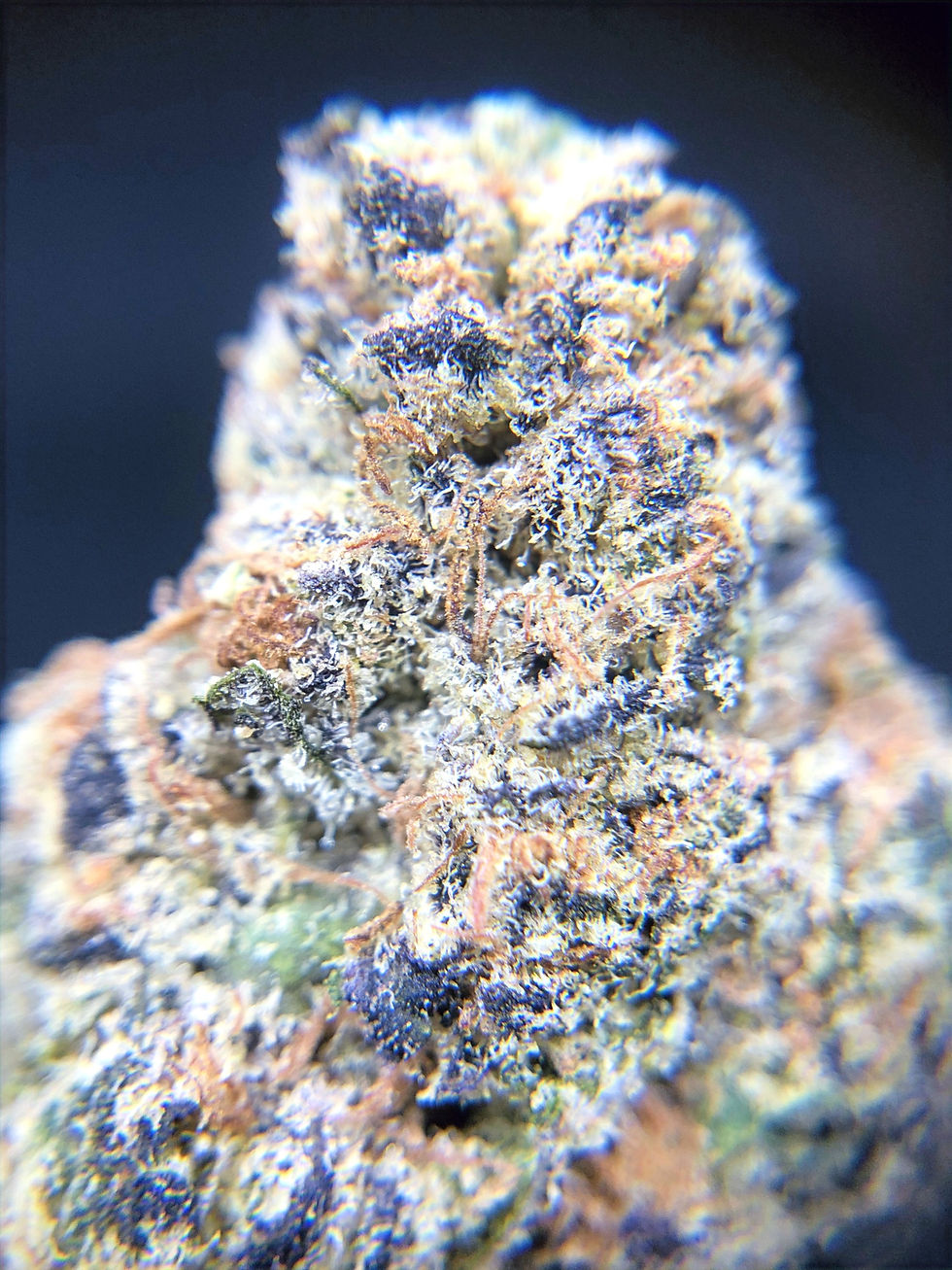 spaced-out-dc-weed-review-sour-grapes-up-close-view