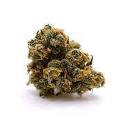Jack Herer