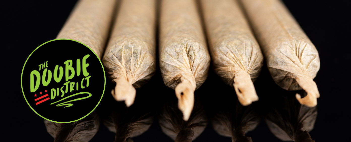 U Street Corridor dispensary hosting community cannabis events.
