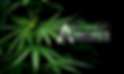 The Antidote DC | Toker's Guide