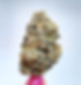 Purple Punch - House of Herbs